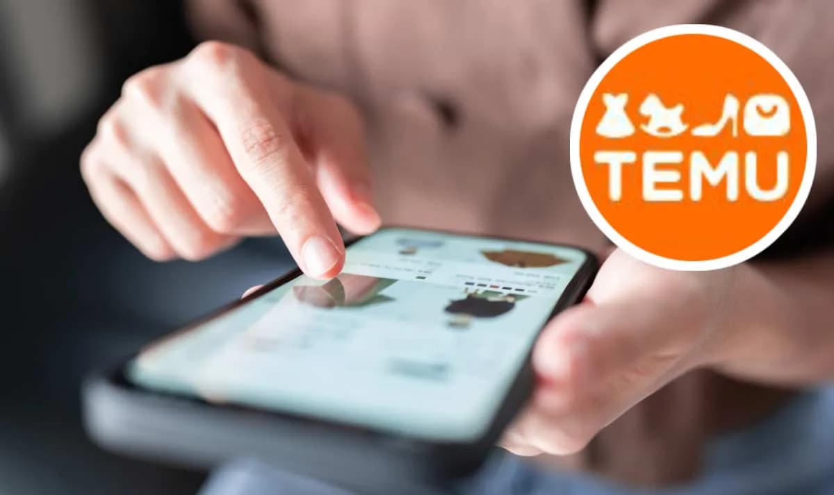 Wie funktioniert Temu?