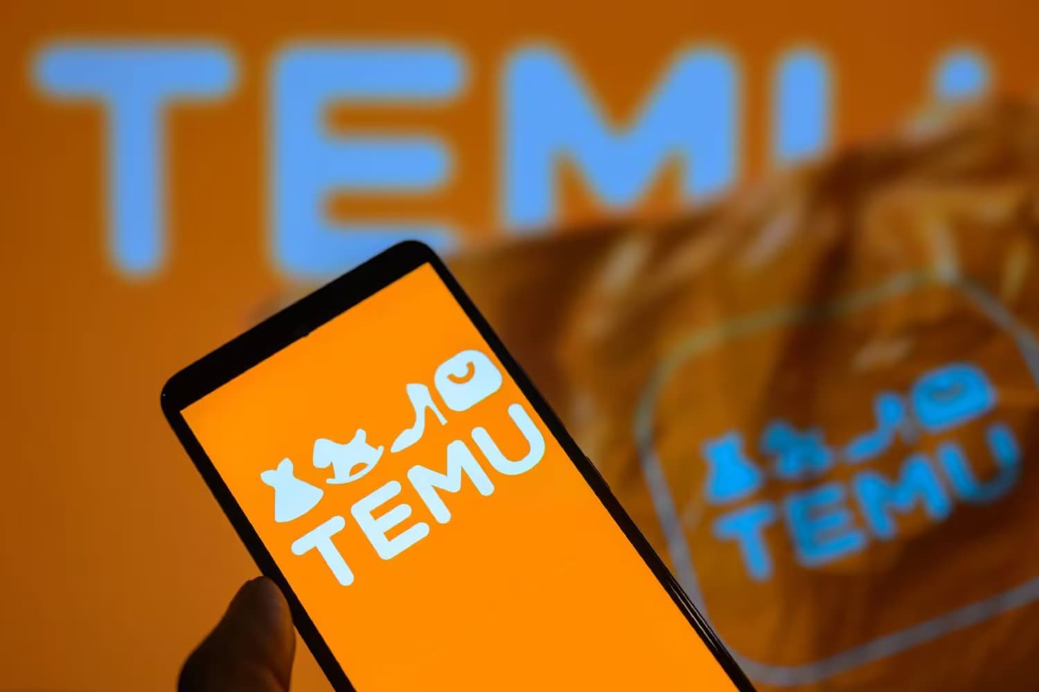 Warum Temu Fake Produkte gefährlich sind