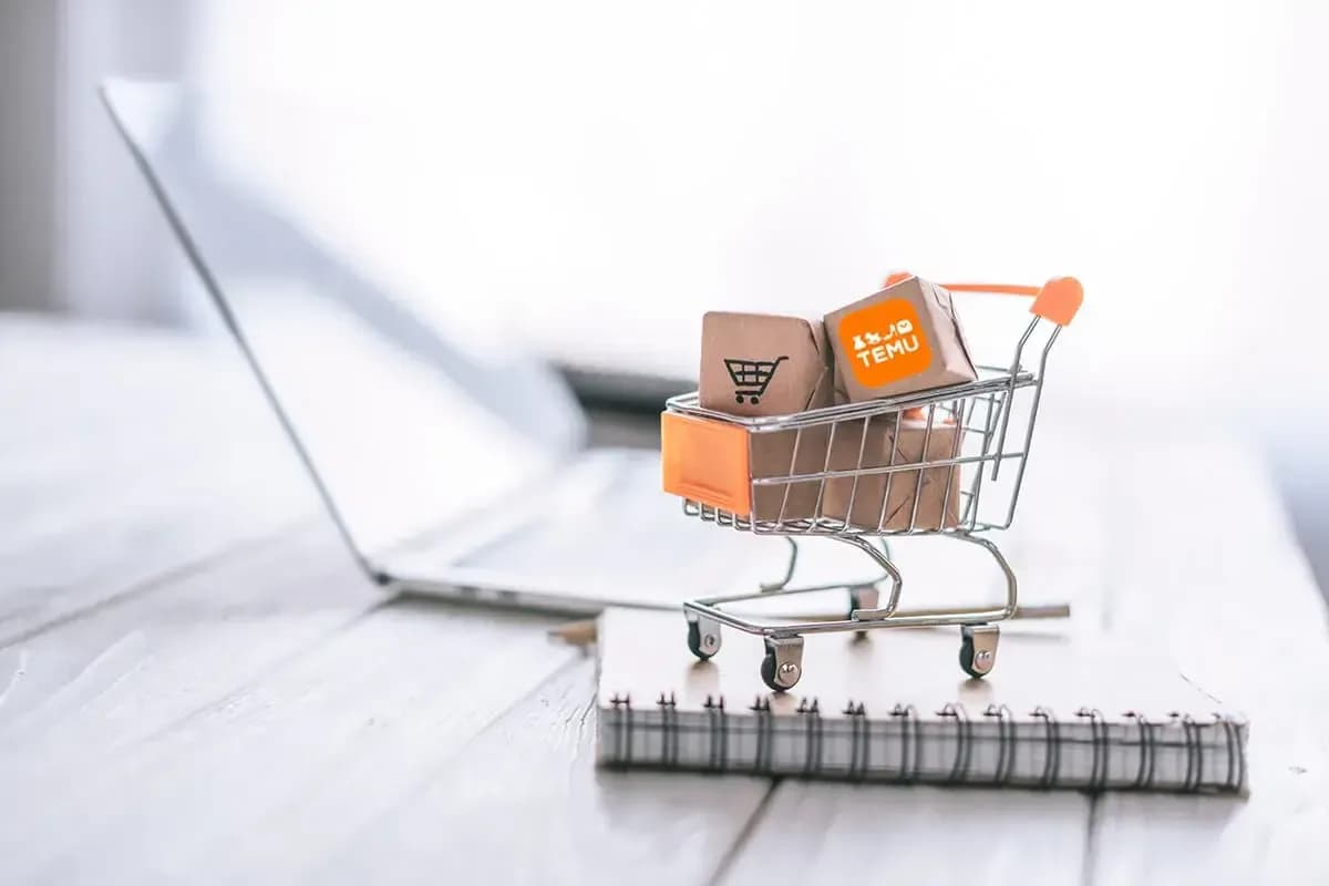 Temu als Teil der deutschen Shoppingkultur